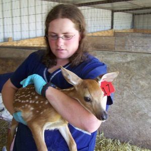 Meet your Posher, Tara